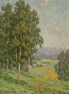 California Wildflowers And Distant Snow-capped Mountains Artwork by Granville Redmond