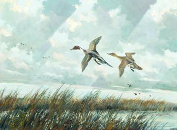 Pintails Artwork by Eric Sloane