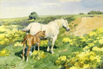A Mare With Her Foal Artwork by Sir Alfred James Munnings