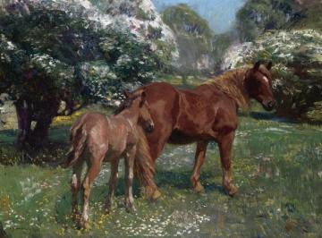 Mare And Foal In A Spring Meadow Artwork by Sir Alfred James Munnings