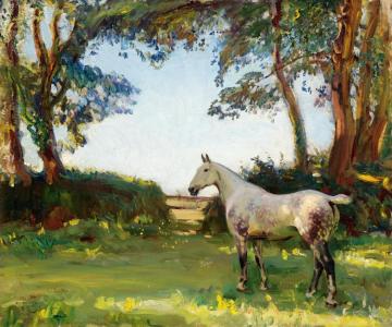 The Grey Mare Artwork by Sir Alfred James Munnings