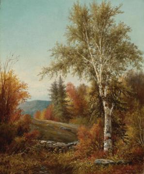 A Birch Tree By A Stone Wall Artwork by William Henry Hilliard