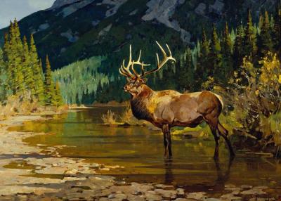 In His Prime Artwork by Carl Rungius