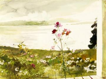 Cosmos Artwork by Andrew Wyeth