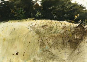 Fall Grasses Artwork by Andrew Wyeth