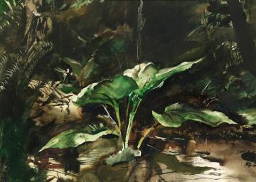 Skunk Cabbage Artwork by Andrew Wyeth