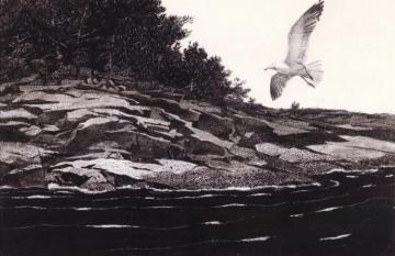 Ledge On Huppers Island Artwork by Andrew Wyeth