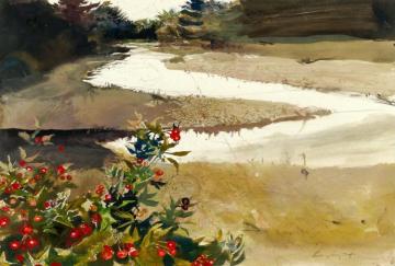 Rose Hips (study For Back Water) Artwork by Andrew Wyeth