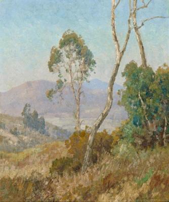 Trees On A Hillside Artwork by Maurice Braun