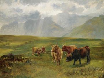 Highland Cattle Artwork by Wright Barker
