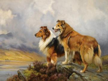 Two Collies Above A Lake Artwork by Wright Barker