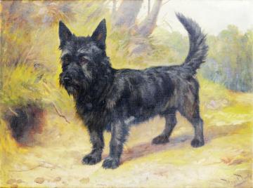 A Scottish Terrier Artwork by Wright Barker