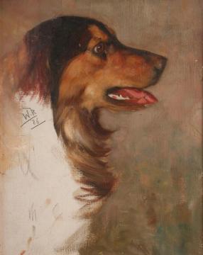 A Study Of A Collie Artwork by Wright Barker