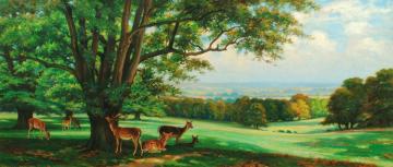 Deer At Rest In Studley Park Artwork by Wright Barker