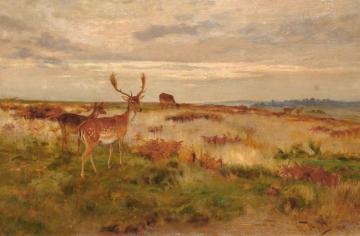 Deer In A Landscape Artwork by Wright Barker