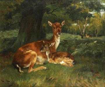 Doe & Fawn In Forest Landscape Artwork by Wright Barker