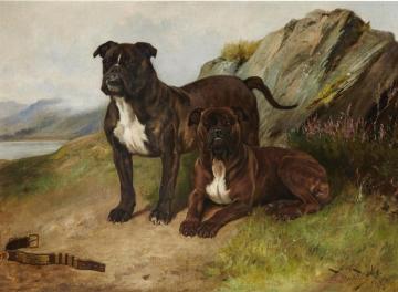 Jack Tar & Another Bulldog Artwork by Wright Barker