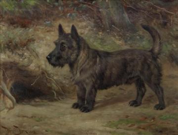 Jamey Artwork by Wright Barker