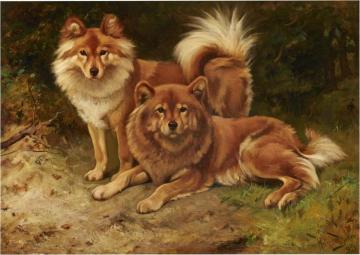 Two Finnish Spitz Artwork by Wright Barker