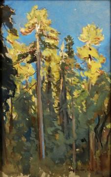 The Last Rays,big Basin,cal Artwork by Colin Campbell Cooper
