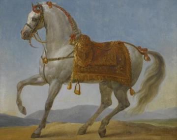 Bonaparte's Arab Stallion, Marengo Artwork by Antoine Jean Gros