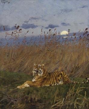 A Tiger Among Rushes In The Moonlight Artwork by Geza Vastagh