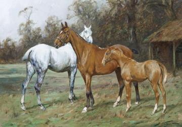 Horses In A Field Artwork by George Wright
