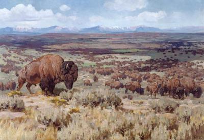 The Days Of Bison Millions (looking West Toward The Wyoming Range) Artwork by Carl Rungius
