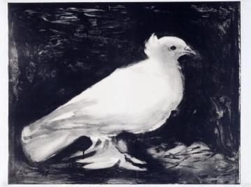 Dove,1949 Artwork by Pablo Picasso