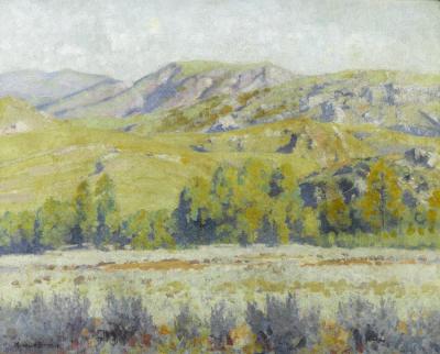 Landscape With Trees And Hills Artwork by Maurice Braun