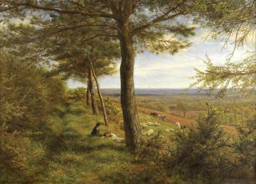 Firs And Furze Artwork by James Thomas Linnell