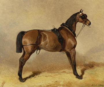 Cheval De Trait Artwork by Alfred de Dreux