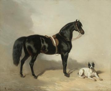 Un Cheval Arabe Et Bulldogue Artwork by Alfred de Dreux