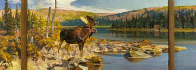 Quantrell Moose Artwork by Carl Rungius