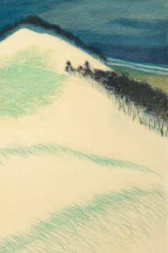 Lapin Dans Les Dunes,encre De Chine Artwork by Leon Spilliaert