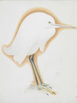 Petite Aigrette Artwork by Simon Bussy