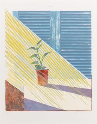 Sun State I Artwork by David Hockney
