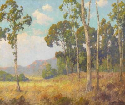 Eucalyptus Grove With Distant Sunlit Hills Artwork by Maurice Braun