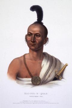 Portrait Of Kai-pol-e-quah Artwork by Henry Inman