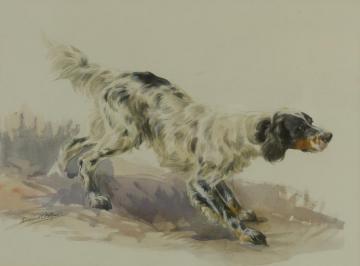 A Setter At Work Artwork by Edmund Henry Osthaus
