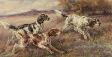 Three Setters Artwork by Edmund Henry Osthaus