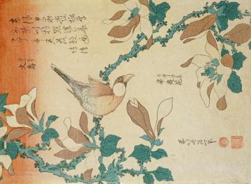 A Paddy Bird Perched On A Flowering Magnolia Branch Artwork by Katsushika Hokusai