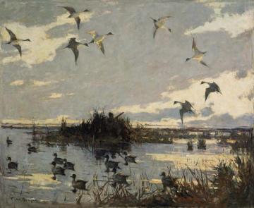 Pintails Decoyed,1921 Artwork by Frank Weston Benson