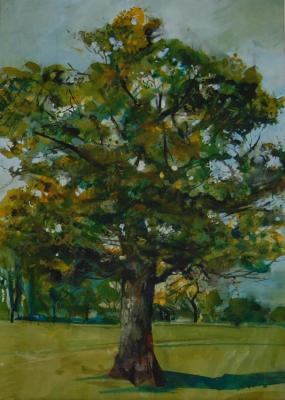 Oak Tree, Twickenham Artwork by Stan Smith