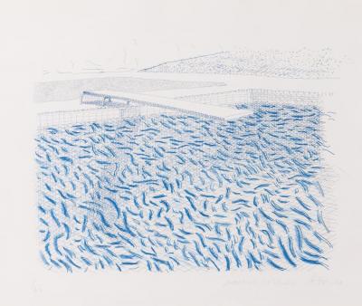 Lithograph Water Made Of Lines And Crayon (pool Ii-b) Artwork by David Hockney