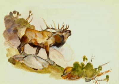 Bull Elk Artwork by Carl Rungius