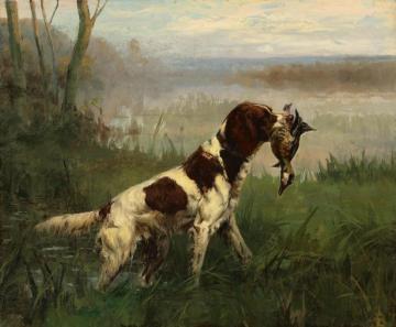 Setter And Ruddy Duck Artwork by Percival Leonard Rosseau