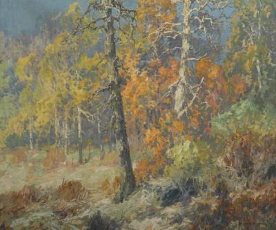 Autumn Woods Artwork by Maurice Braun