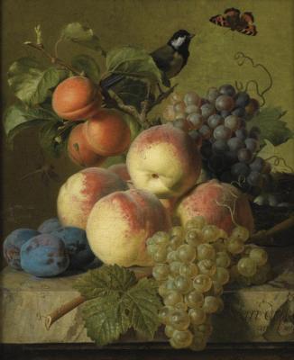 Stll Life Of Peaches, Grapes And Plums On A Stone Ledge With A Bird And Butterfly Artwork by Jan Frans van Dael