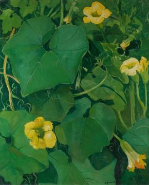 Six Squash Flowers Artwork by Jane Peterson